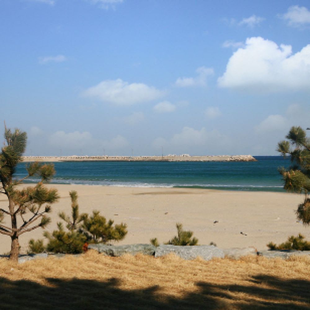 주간전경