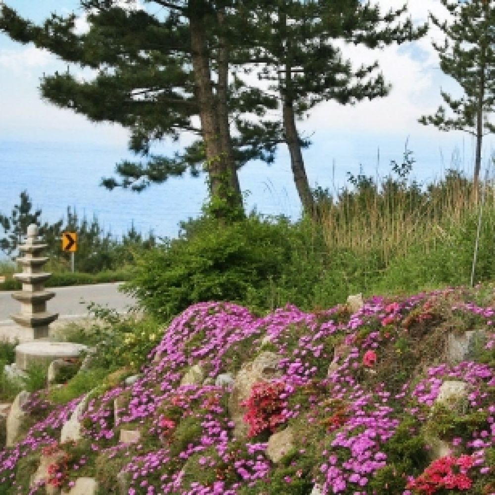 주변전경