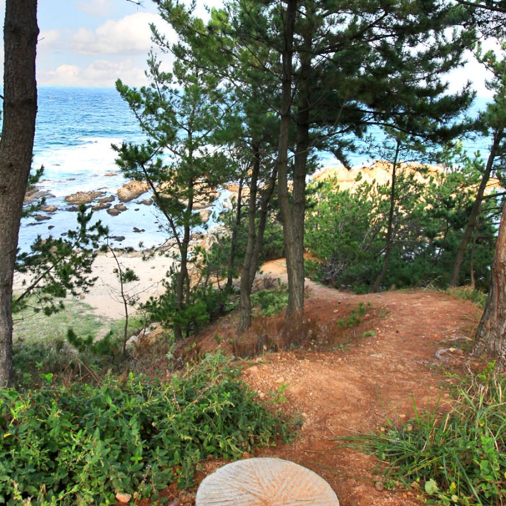 주변전경